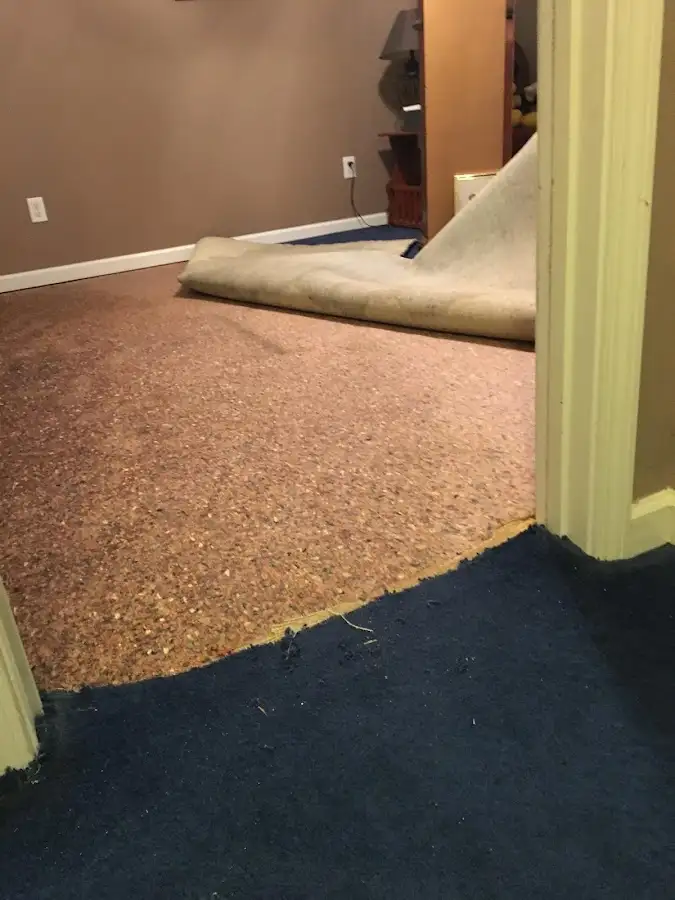 Carpet pad removal revealing water damage during Water Mitigation Services in Mundy